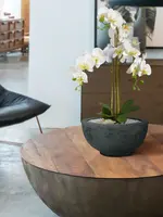 Phalaenopsis kunst Orchidee 75cm wit