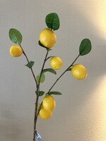 Fruittak Citroen 98 cm  6 citr./blad