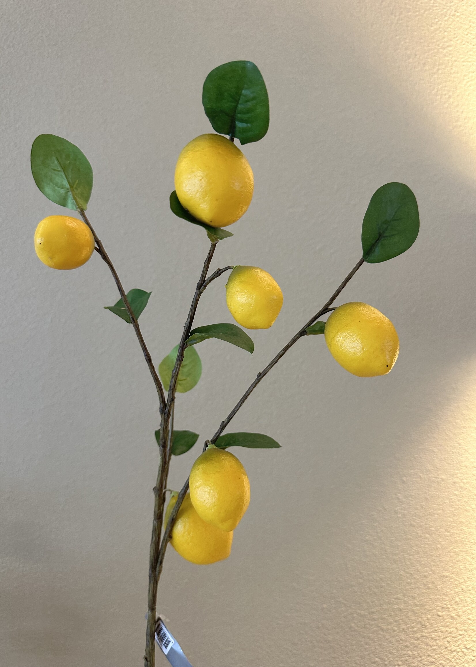 Silk-ka Fruittak Citroen 98 cm  6  citr./blad