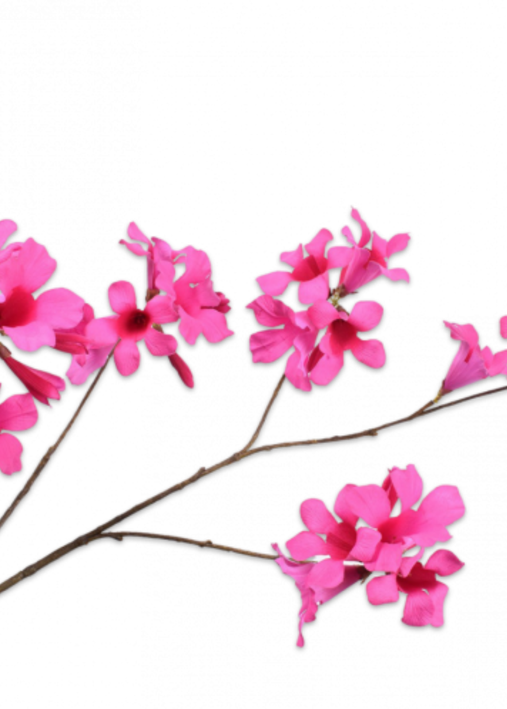 Mandeville tak Roze 114 cm