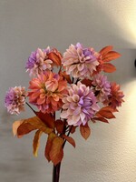 Dahlia  met herfstblad