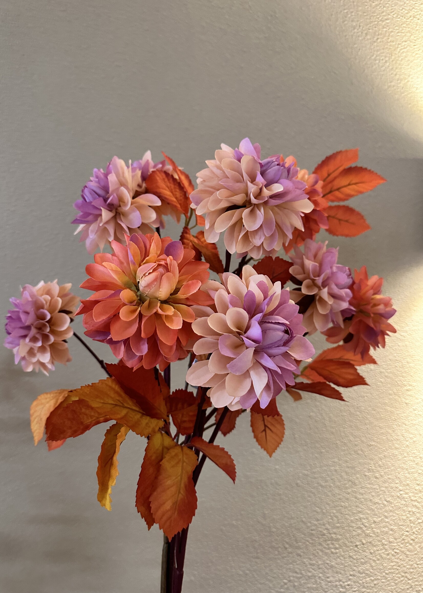 Dahlia met herfstblad