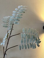 Groene tak met zacht voelbaar blad