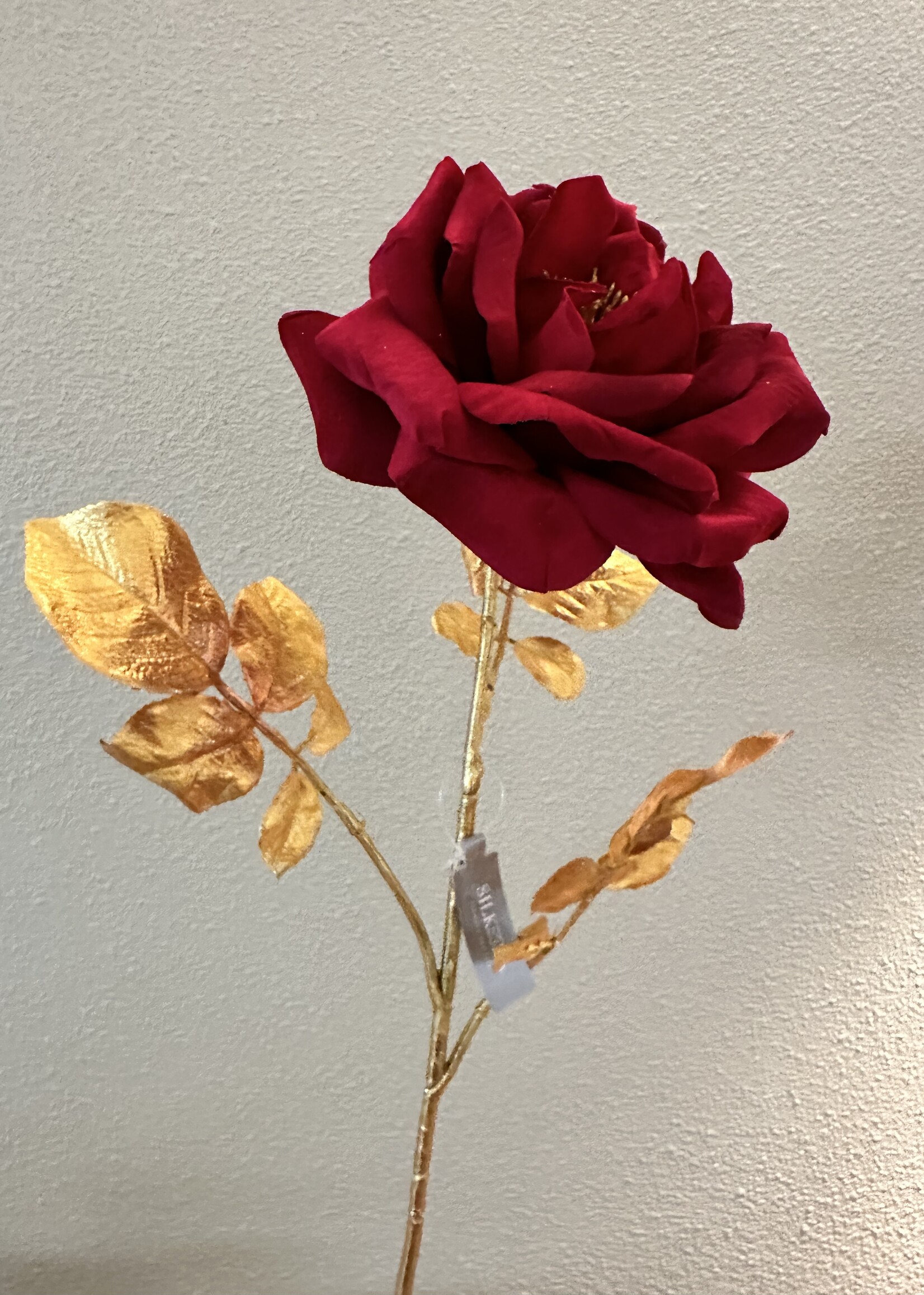 Rode Roos met goudkleurige Tak en blad