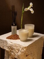 PTMD New Elements  Oud Minerale Kaars  380  gr.