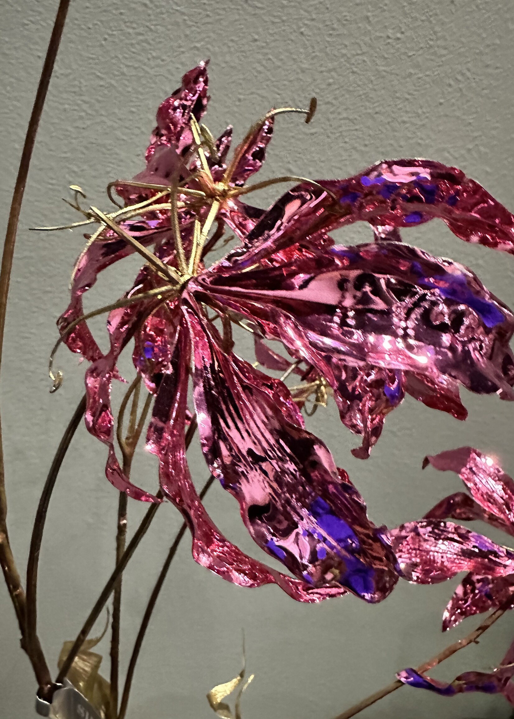 Gloriosa tak purple-gold   104 cm