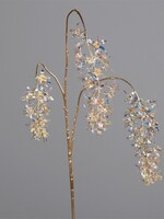 Wisteria   magic 104 cm, gold