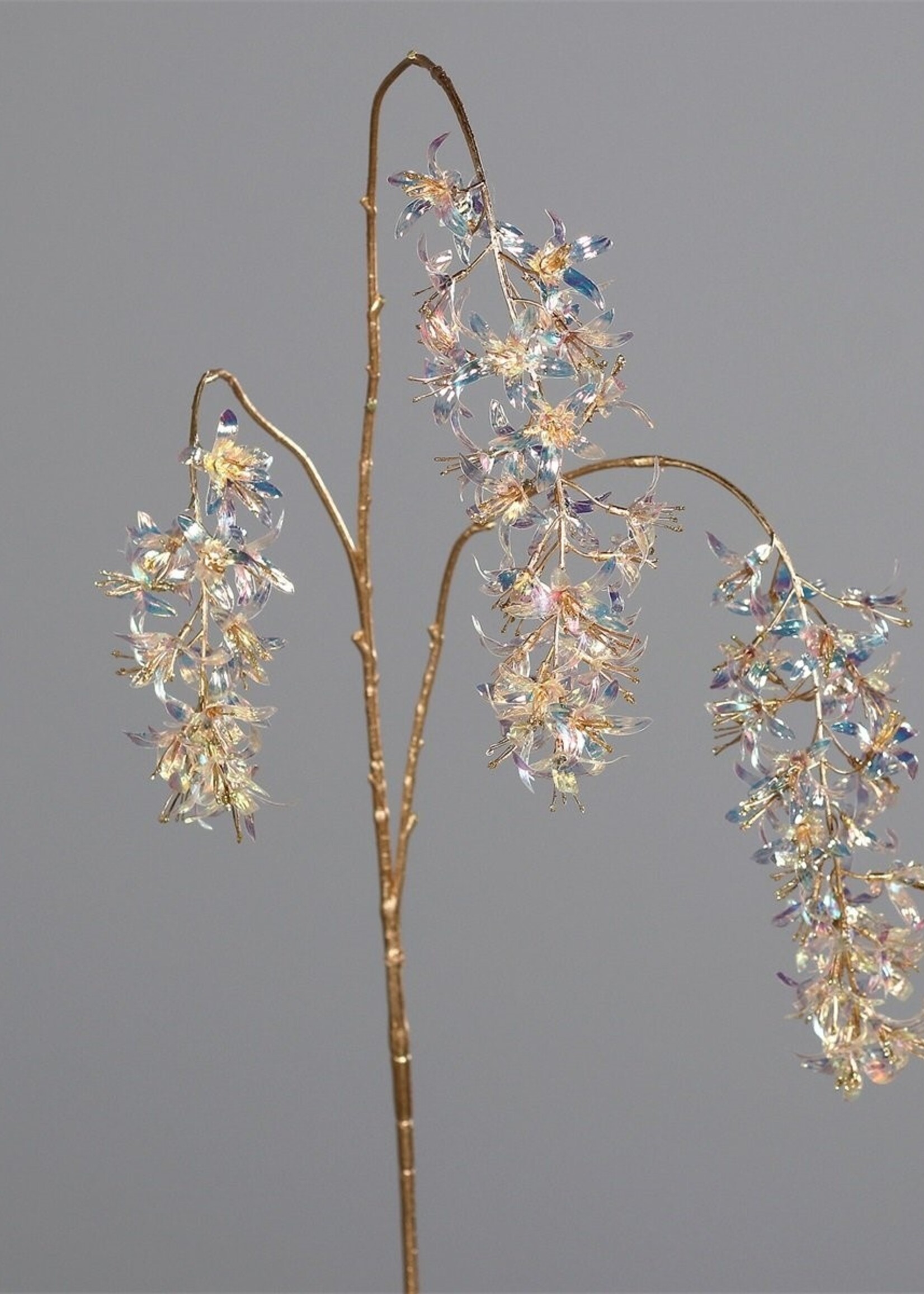 Wisteria  magic, 104 cm, gold