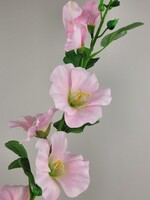 Alcea Spray zacht roze