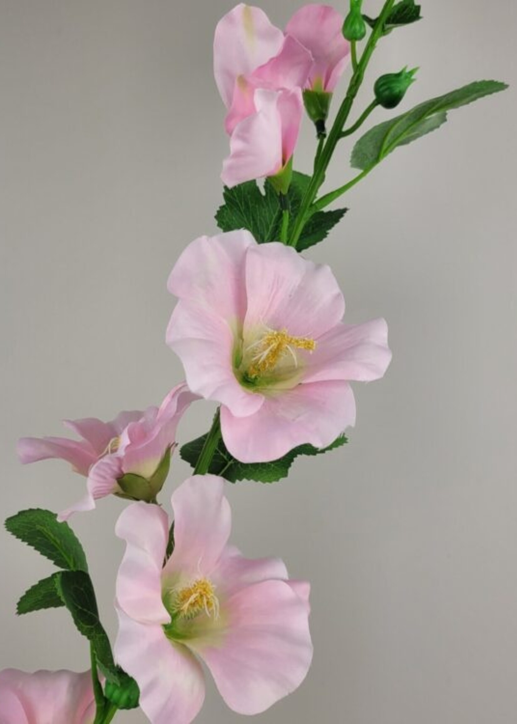 Alcea spray zacht roze