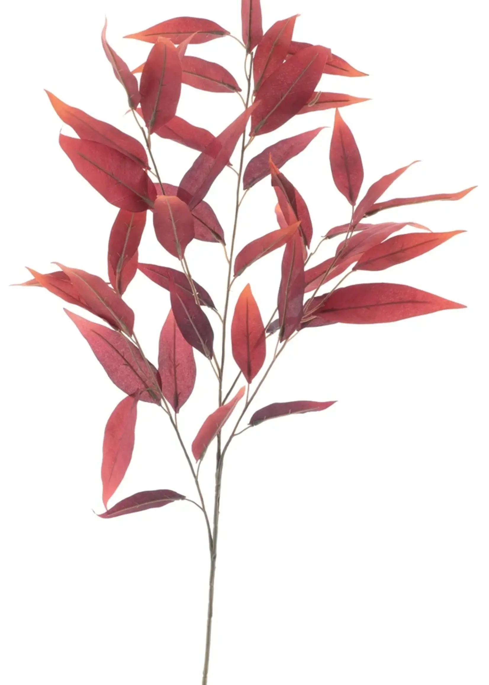 Eucalypthus spray Autumn red