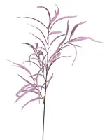 Fine Leaf Lila