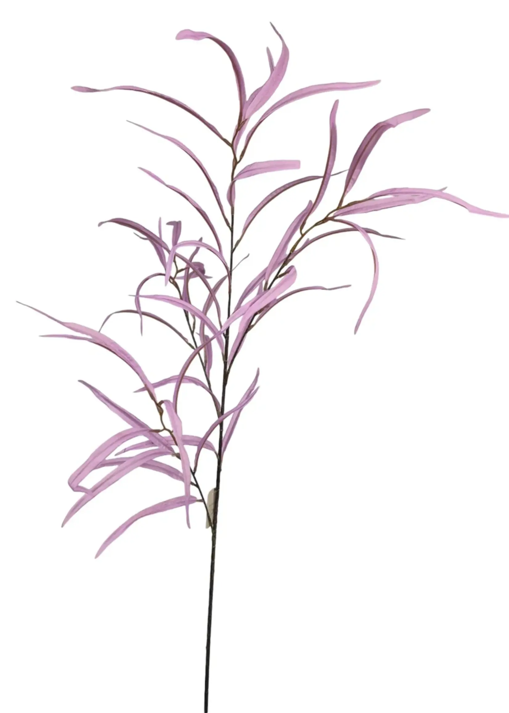 Fine Leaf  Lila