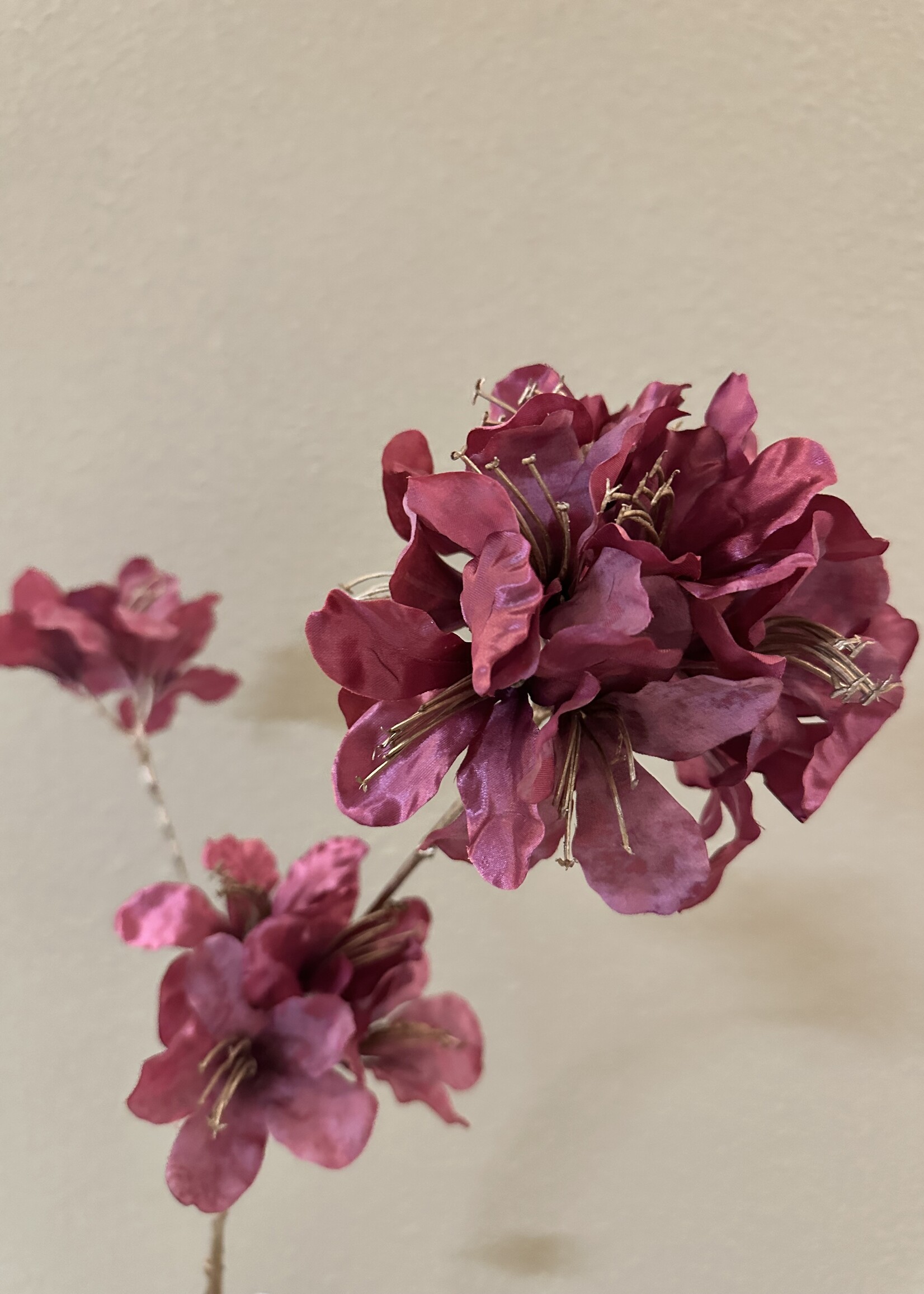 Azalea spray Burgundy  85 cm