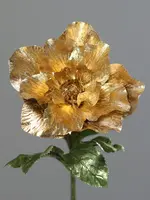 Helleborus, tak 48 cm  gold