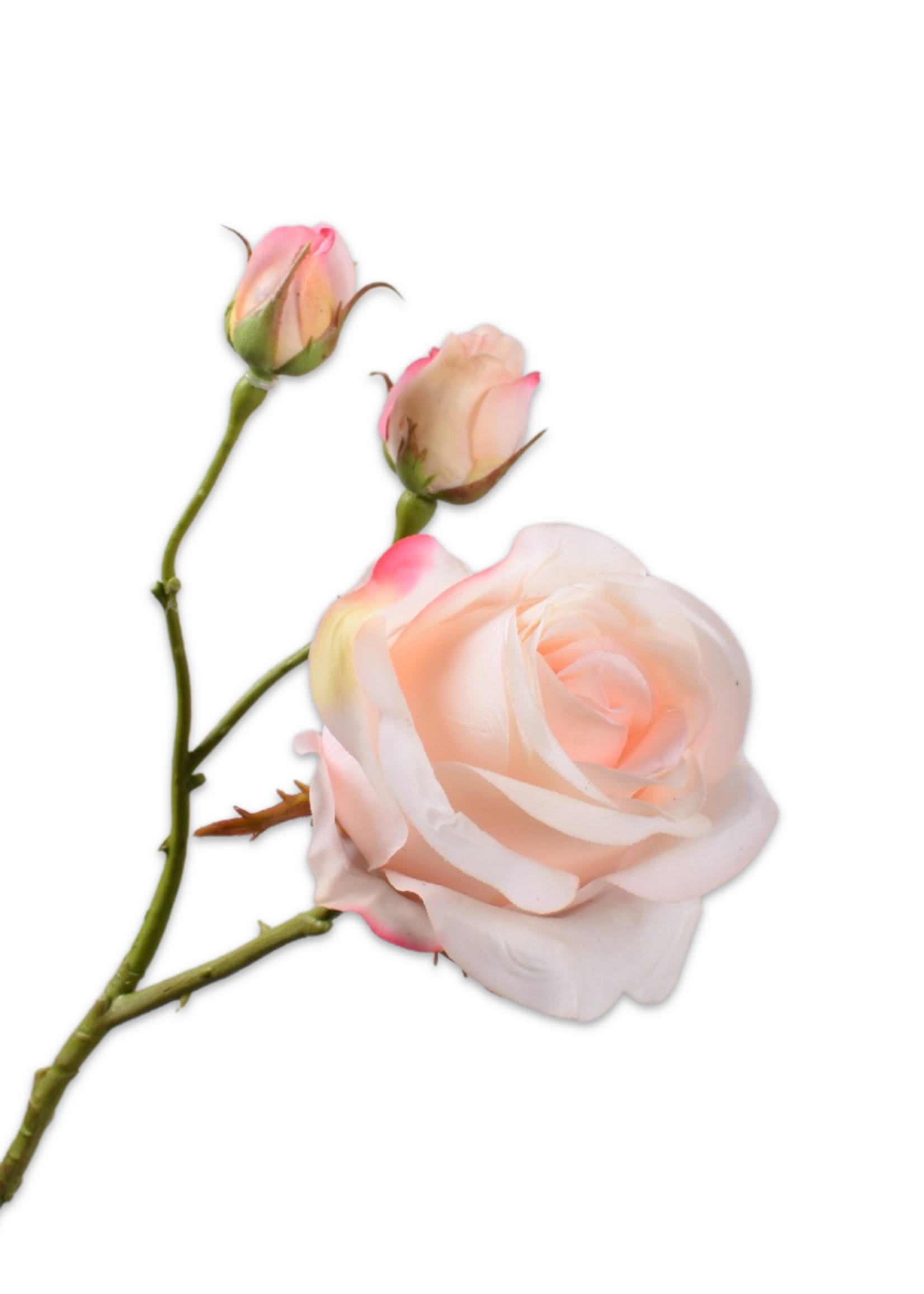 Silk-ka Roos tak Perzik rt  59 cm