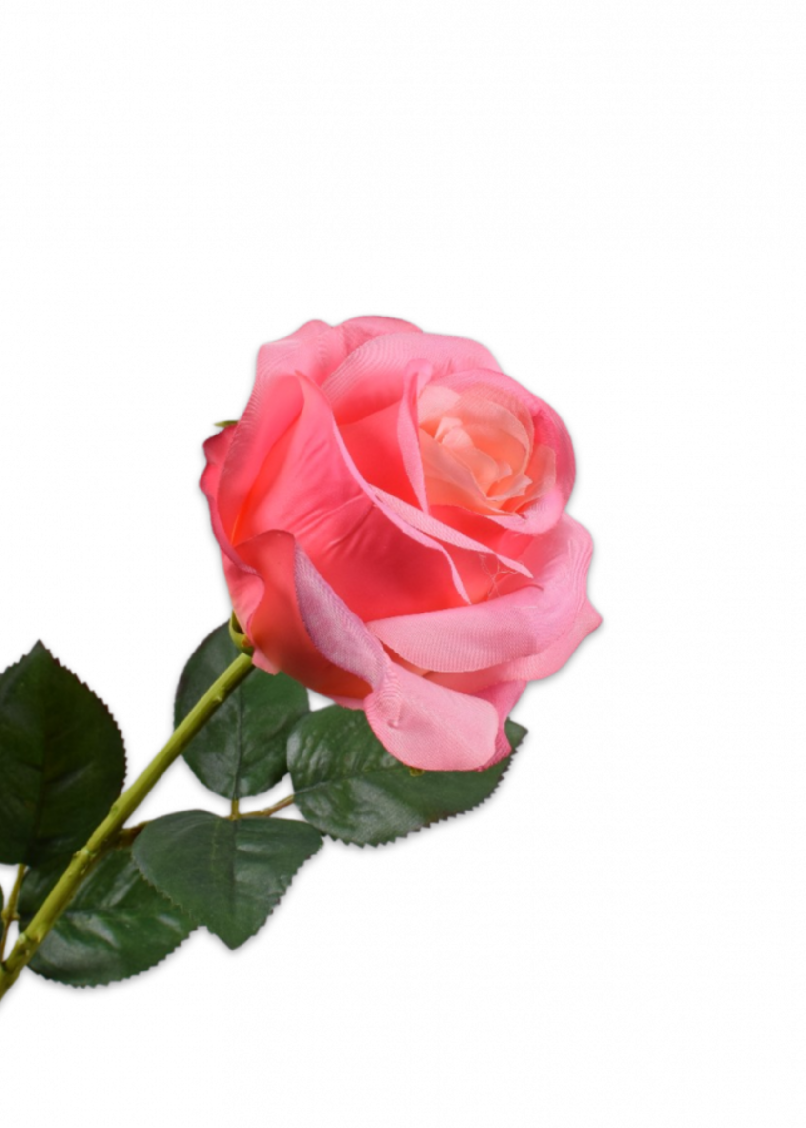 Silk-ka Roos steel Zalm RT 57 cm