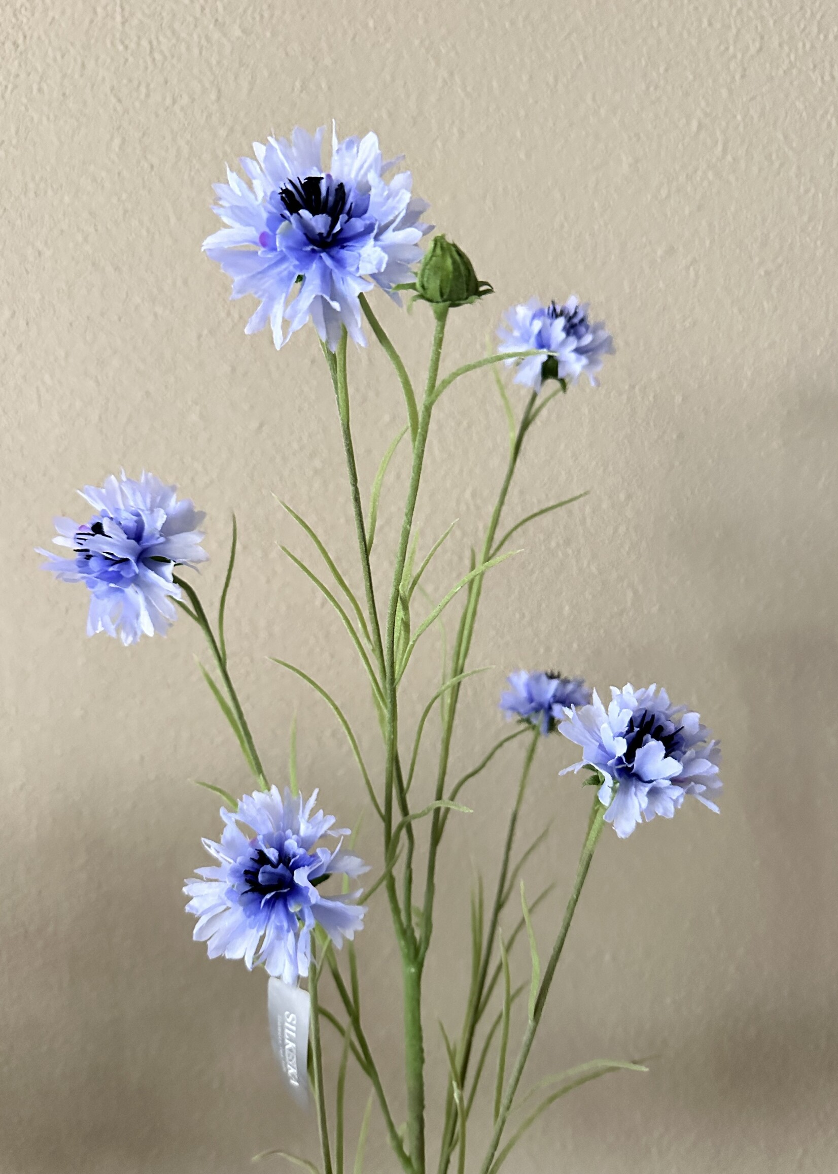 Silk-ka Korenbloem tak  Licht Blauw