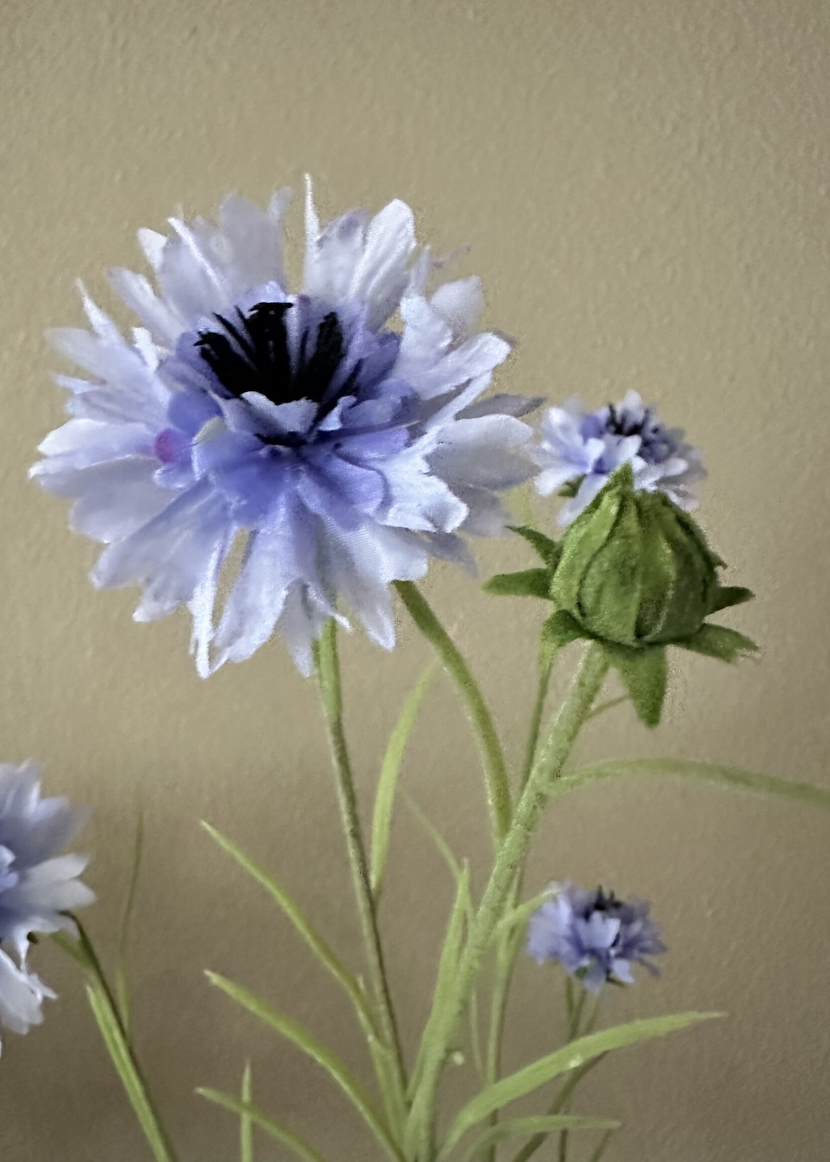 Silk-ka Korenbloem tak  Licht Blauw