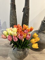 Bosje   Mix  tulpen  5 mixed