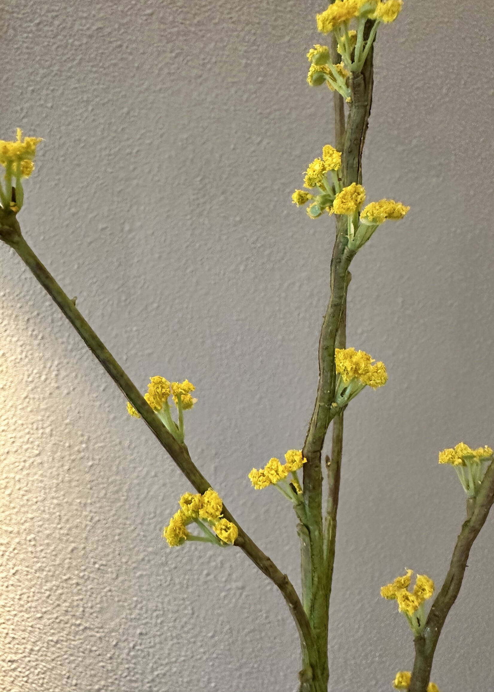Silk-ka Spirea tak geel  116 cm