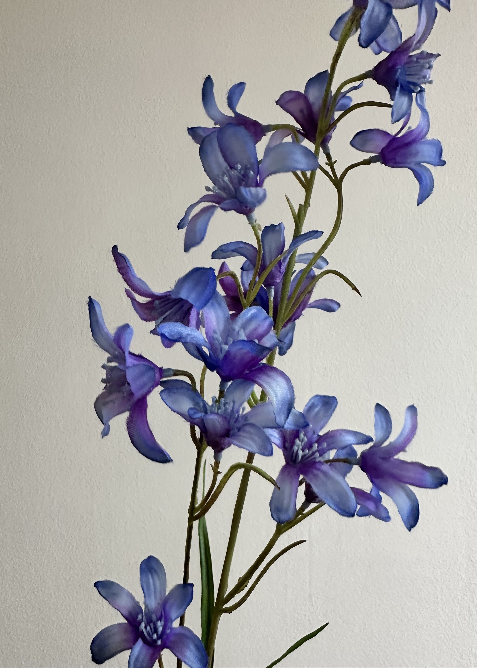 Silk-ka Campanula Tak   blauw-prs.