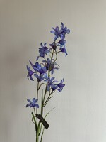 Silk-ka Campanula Tak  blauw-prs    76 cm
