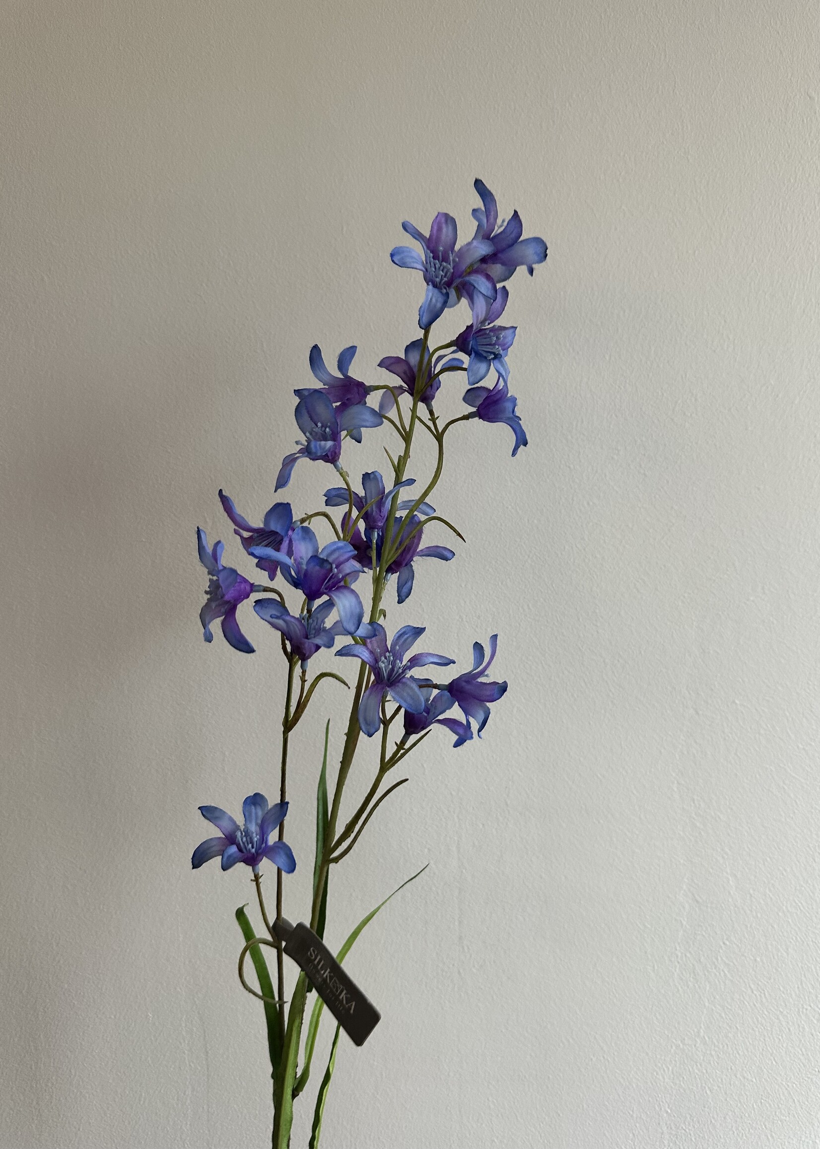 Silk-ka Campanula Tak   blauw-prs.