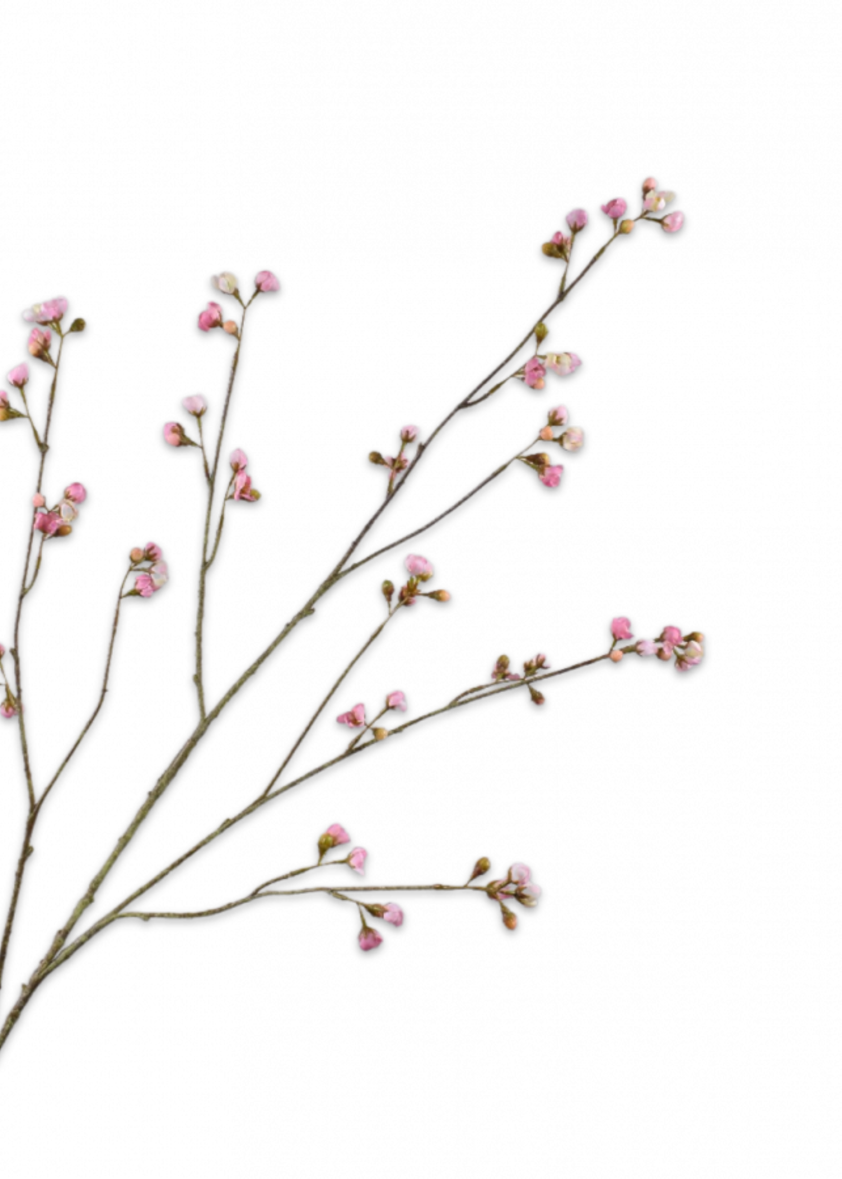 Silk-ka Bloesemtak roze