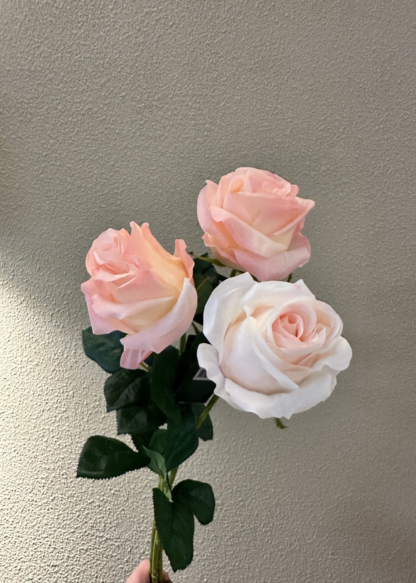 Silk-ka Roos  Licht Roze RT  57 cm