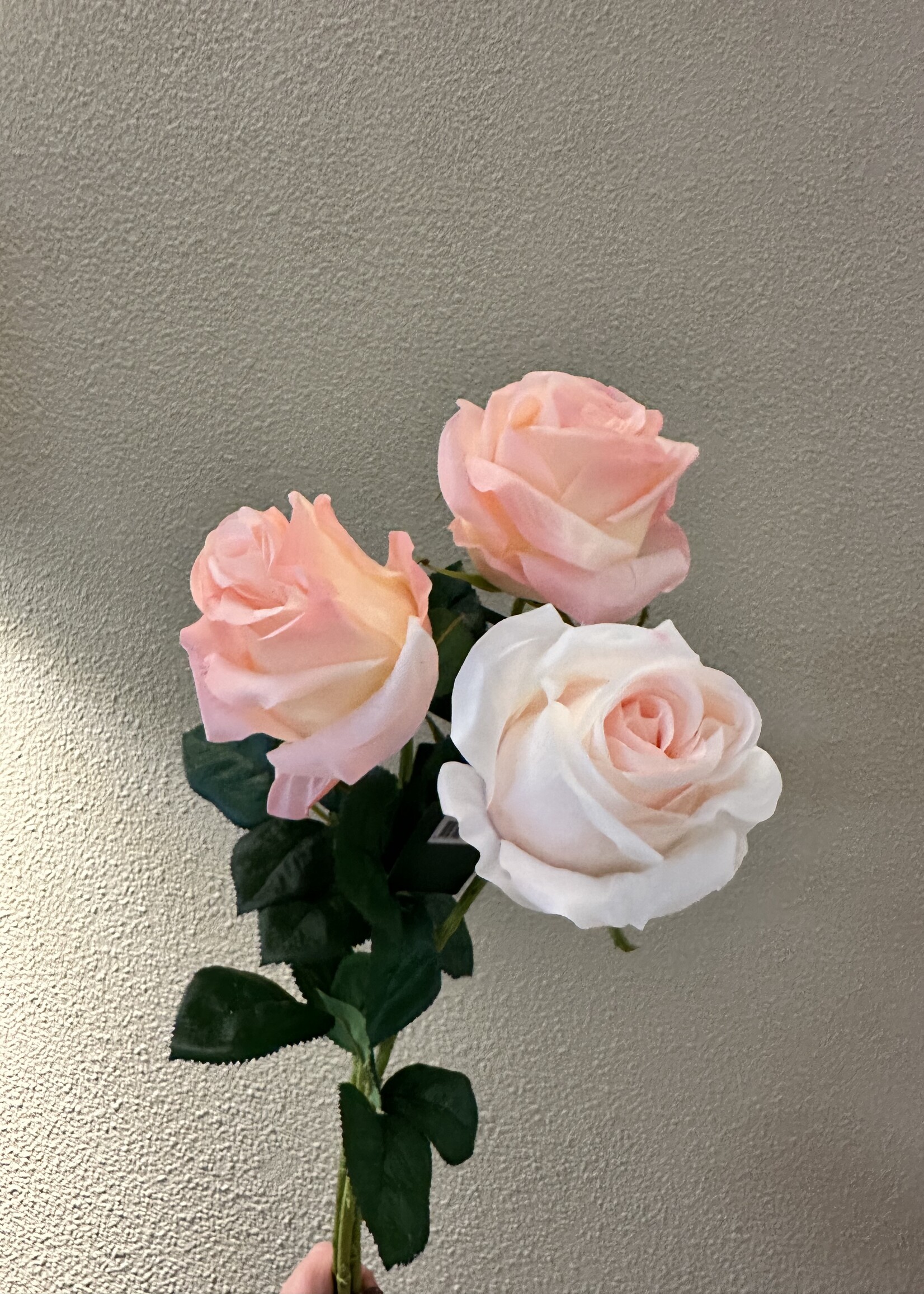 Silk-ka Roos Steel Licht Roze RT  57 cm