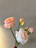 Silk-ka Roos tak Perzik  59 cm  Real Touch