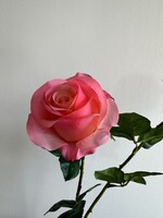 Silk-ka Roos steel Zalm RT 57 cm