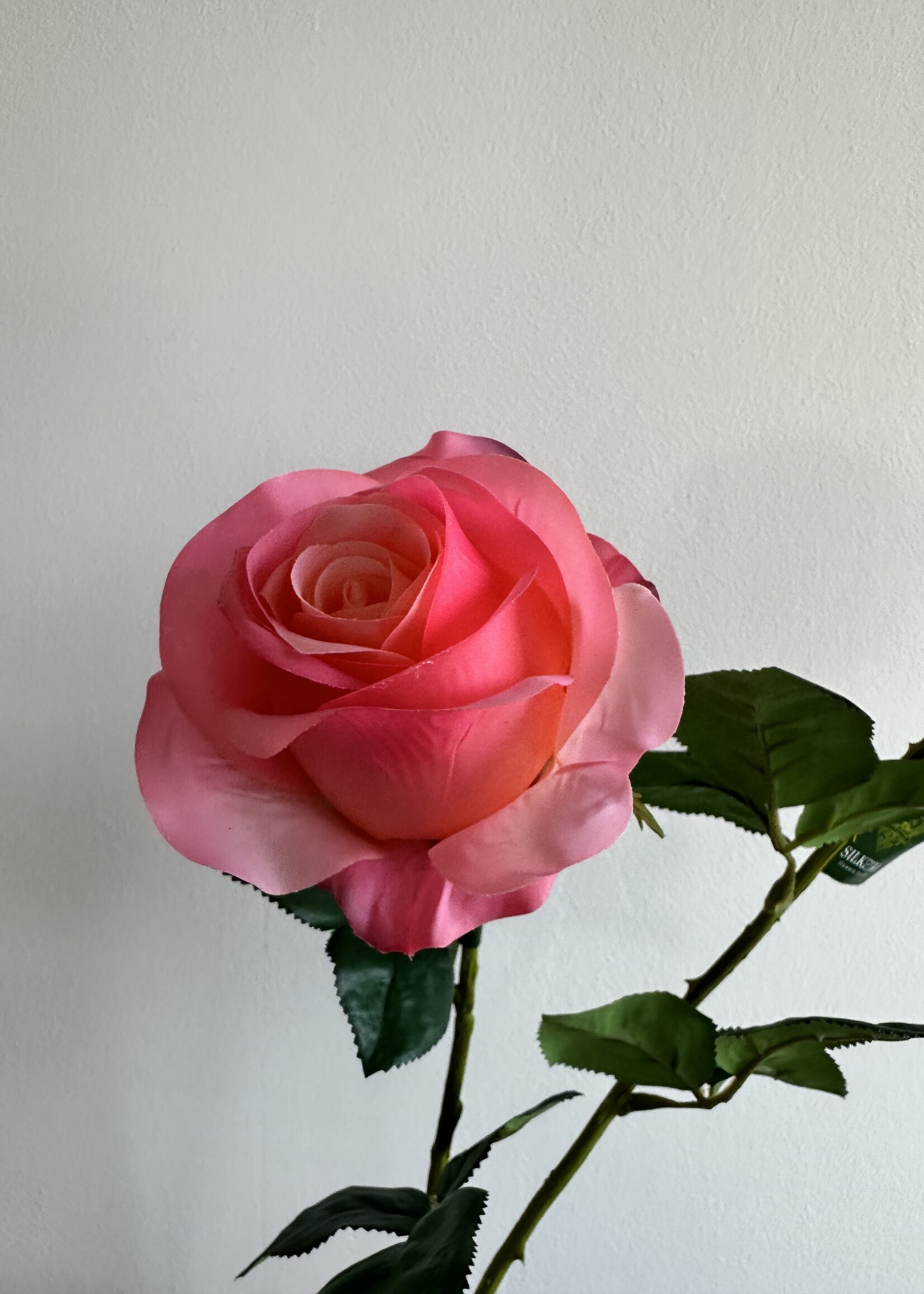 Silk-ka Roos steel Zalm RT 57 cm