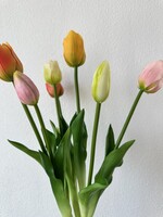 Bosje   Mix  tulpen  5 mixed