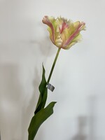 Parkiet Tulp Steel cr/roze   71 cm   Real Touch