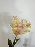 Parkiet Tulp Steel cr/roze   71 cm   Real Touch