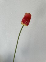 Silk-ka Tulp Steel roze-geel   66 cm