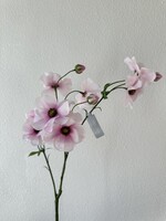 Silk-ka Helleborus  tak licht-roze