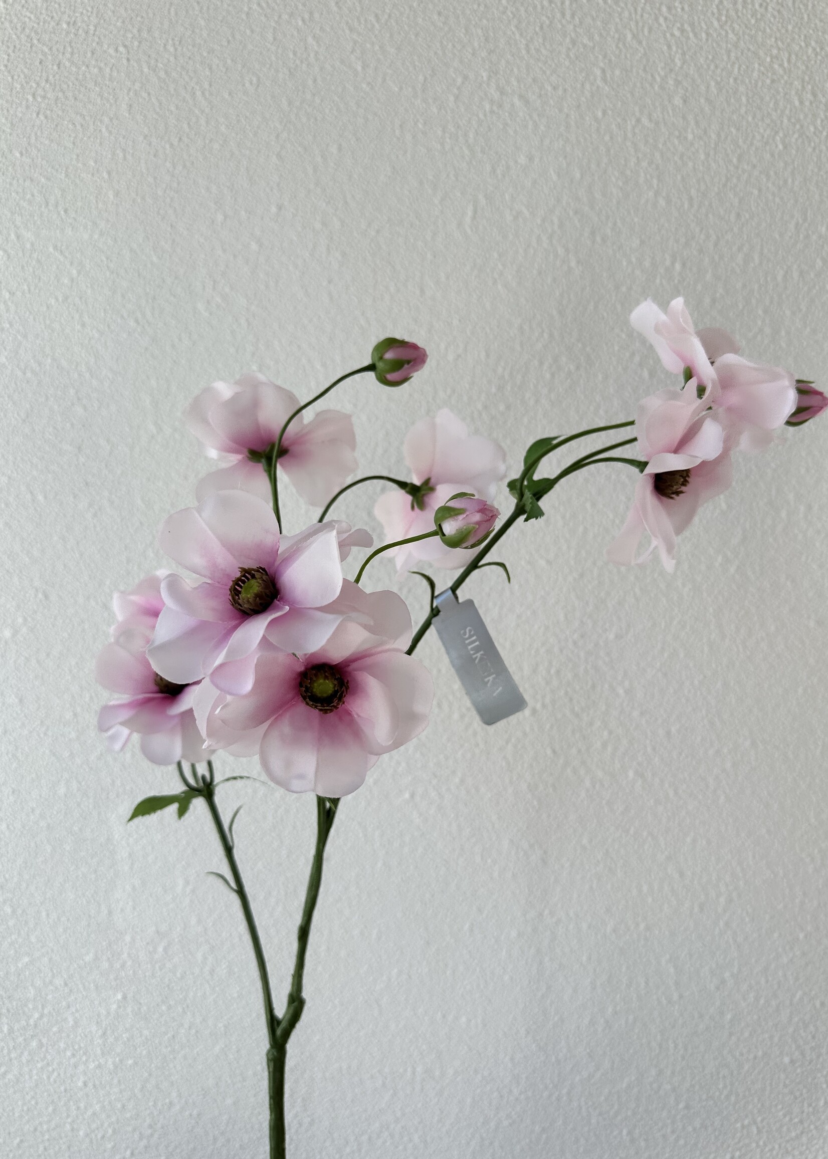 Silk-ka Helleborus Tak licht-roze