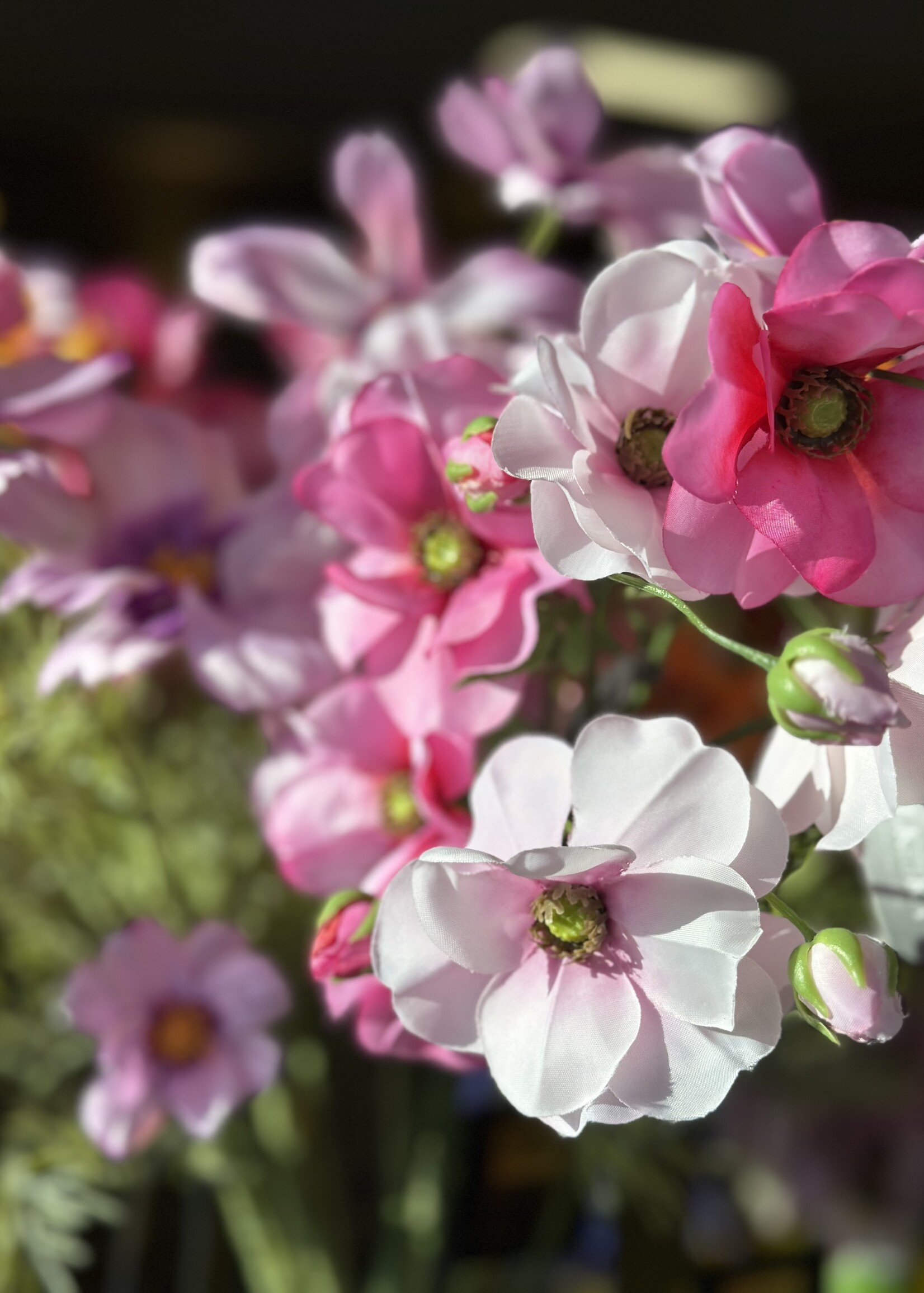 Silk-ka Helleborus Tak licht-roze