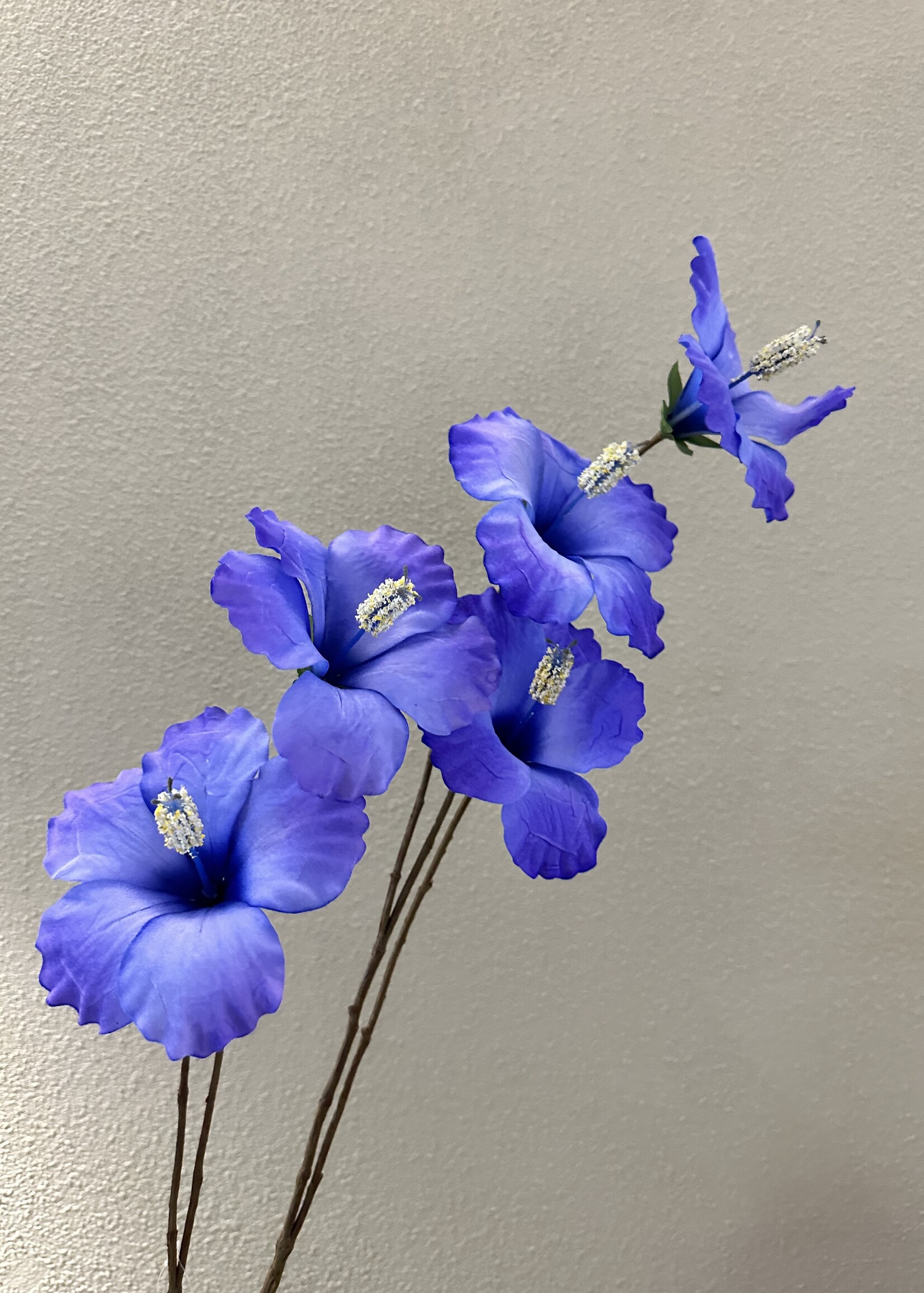 Silk-ka Hiciscus Tak Blauw Lt  112 cm