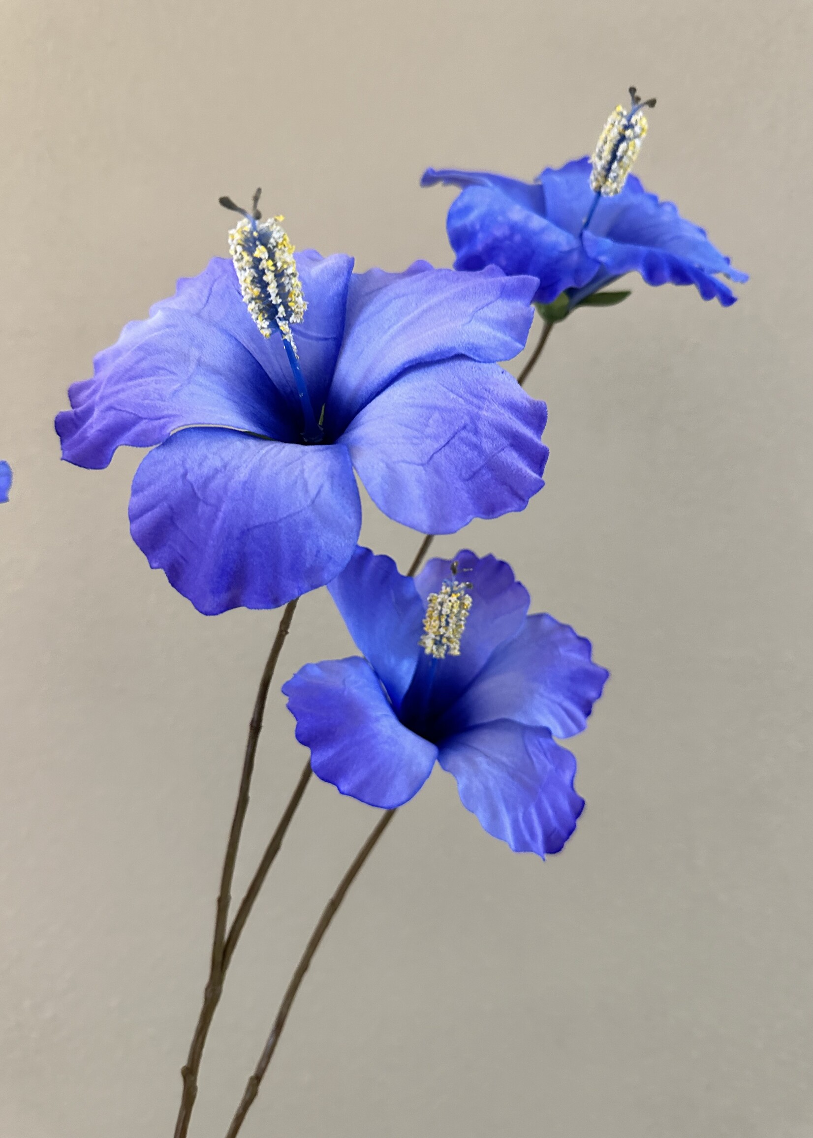 Silk-ka Hiciscus Tak Blauw Lt  112 cm