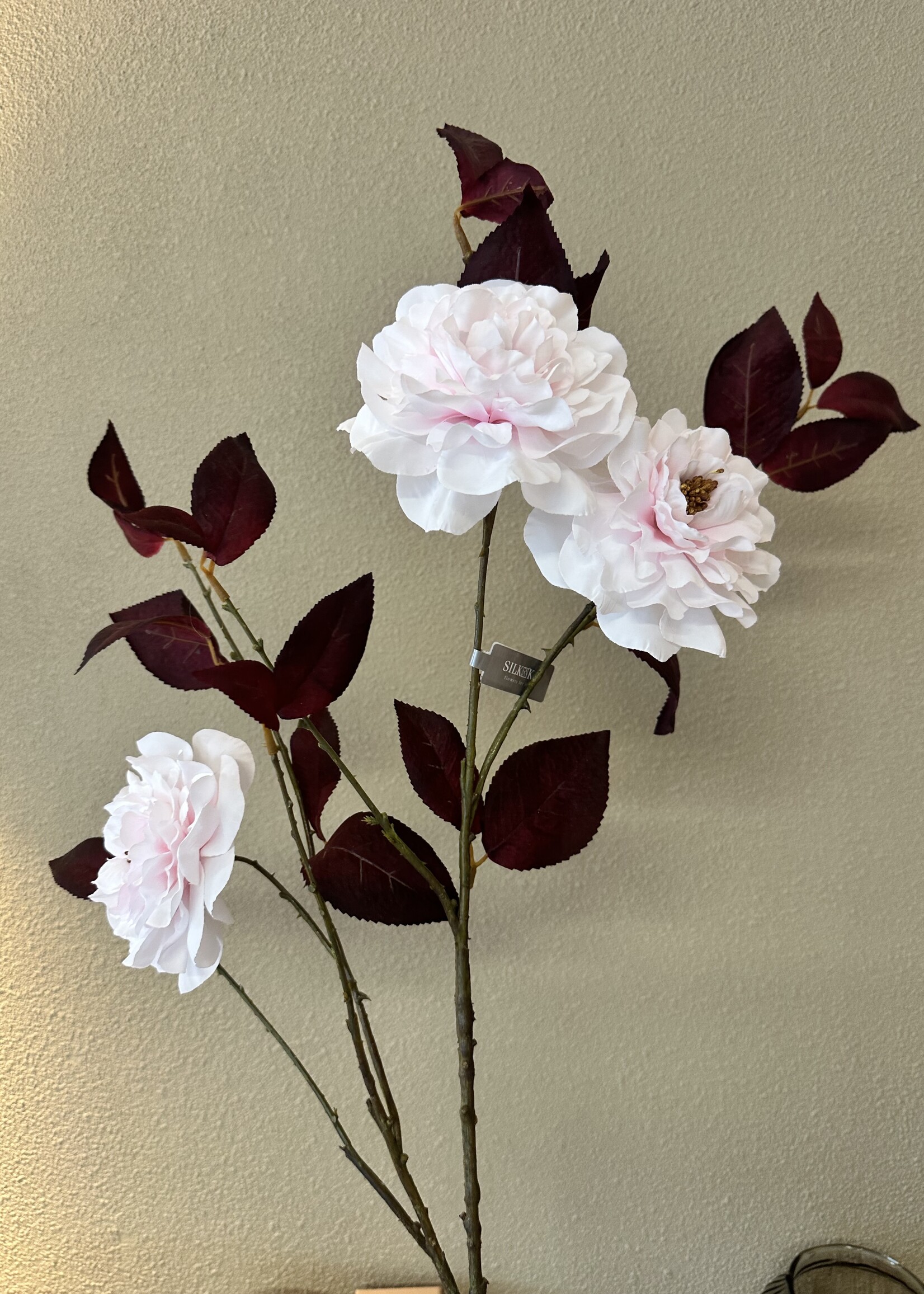Silk-ka Camelia Tak Roze  Lt   117 cm