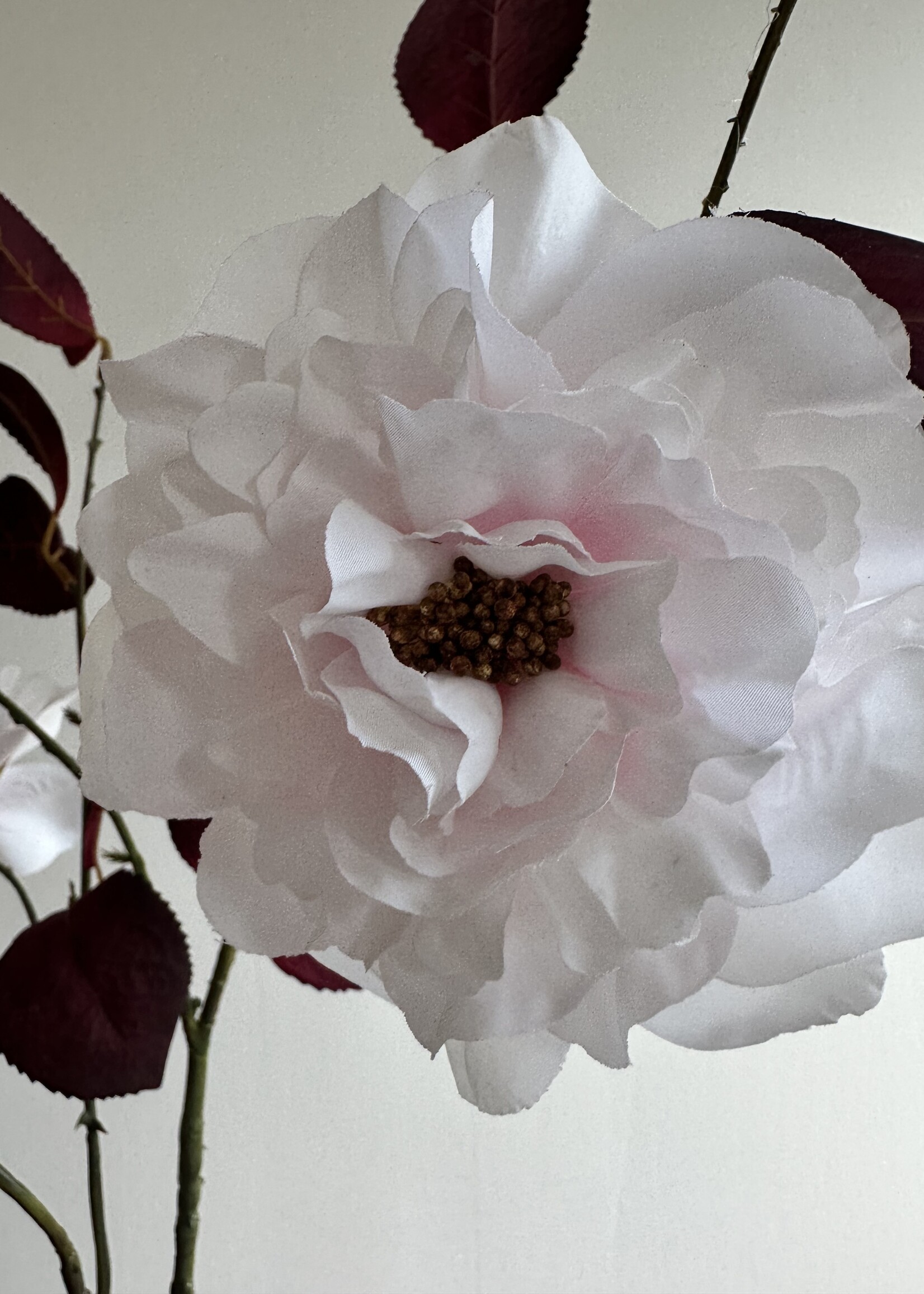 Silk-ka Camelia Tak Roze  Lt   117 cm