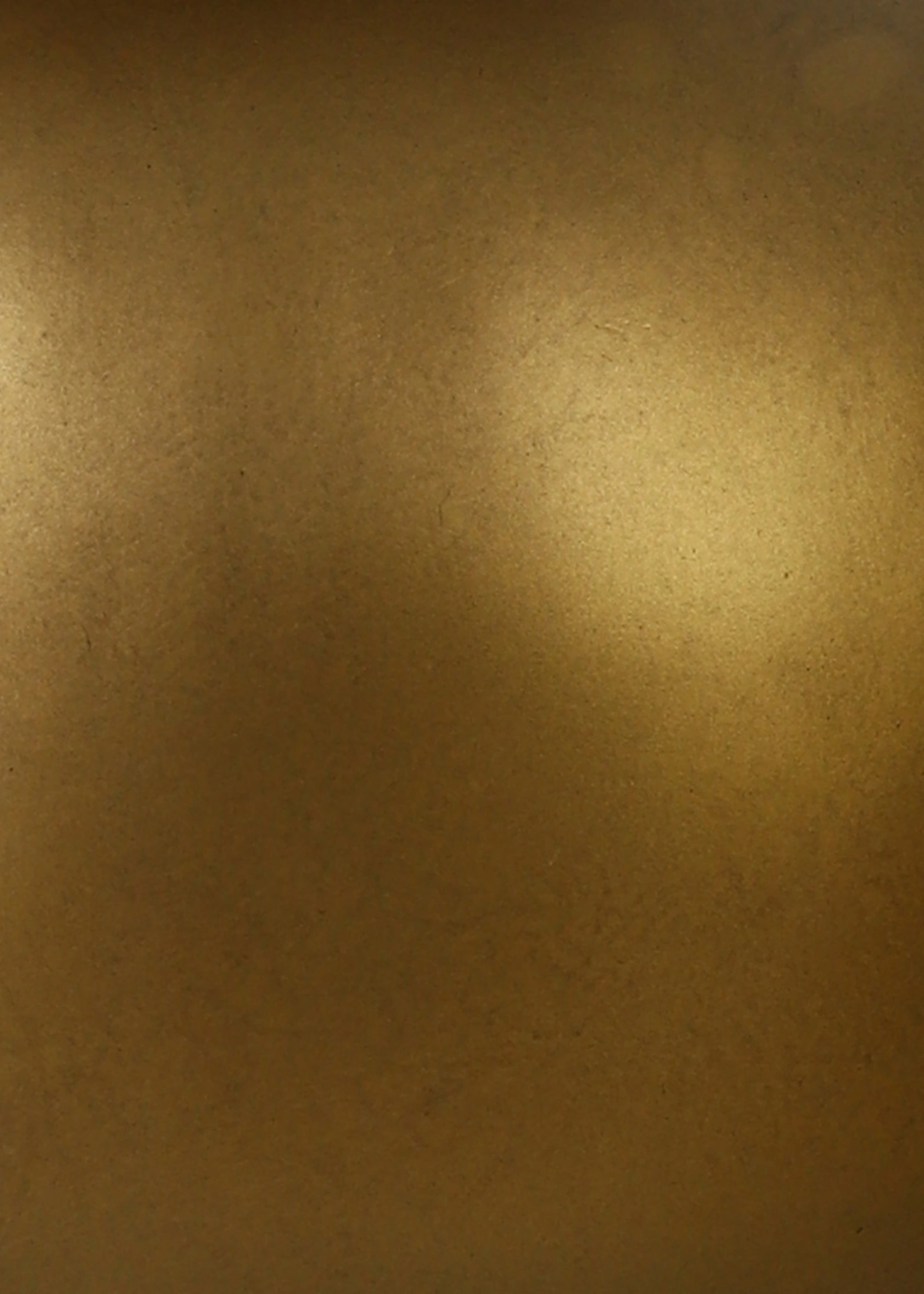 Pot & Vaas Slanke hoge vaas Bella in Champagne Gold