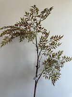 Mahonietak groen-br.  99 cm