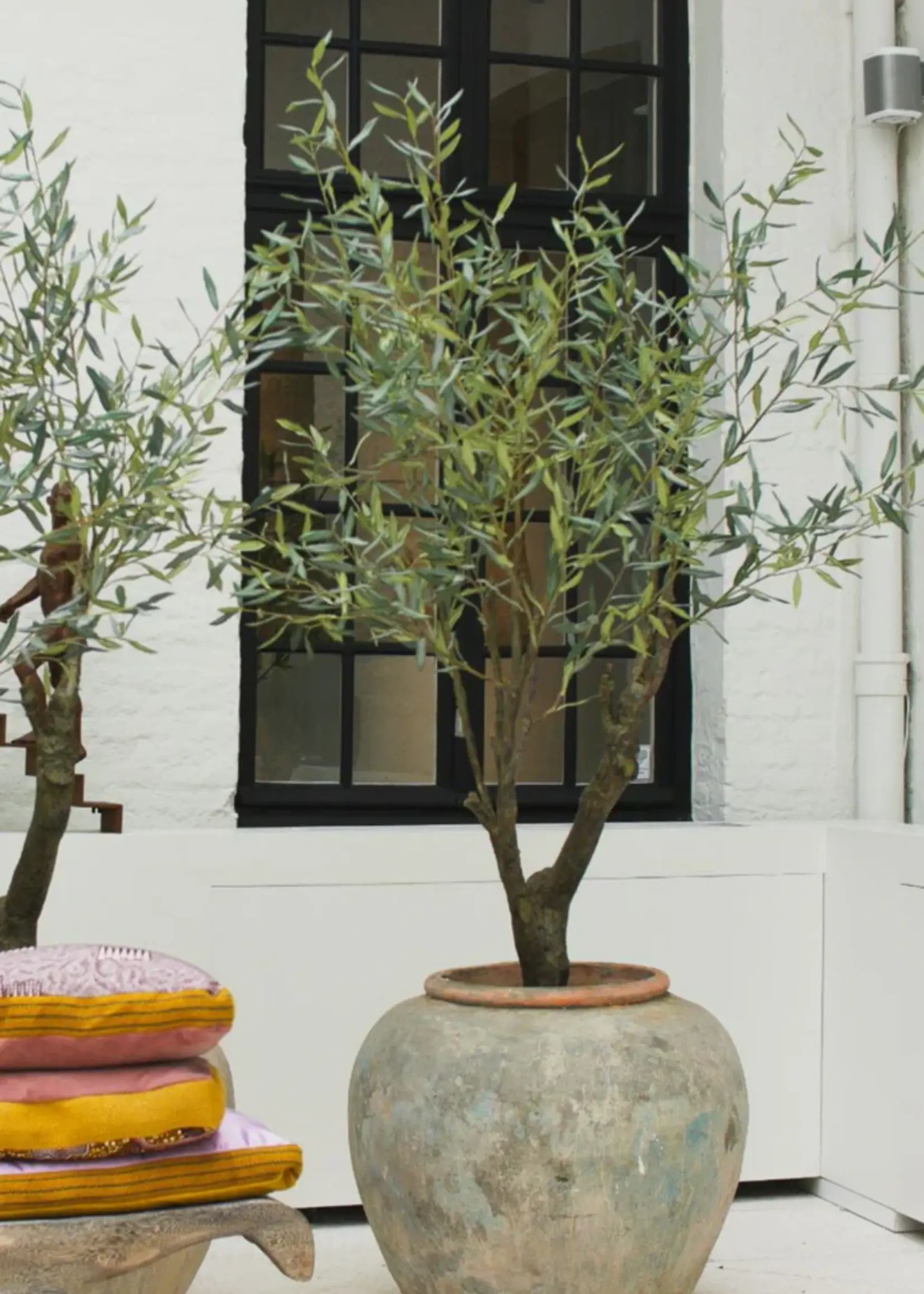 olijfboom  groen 198 cm