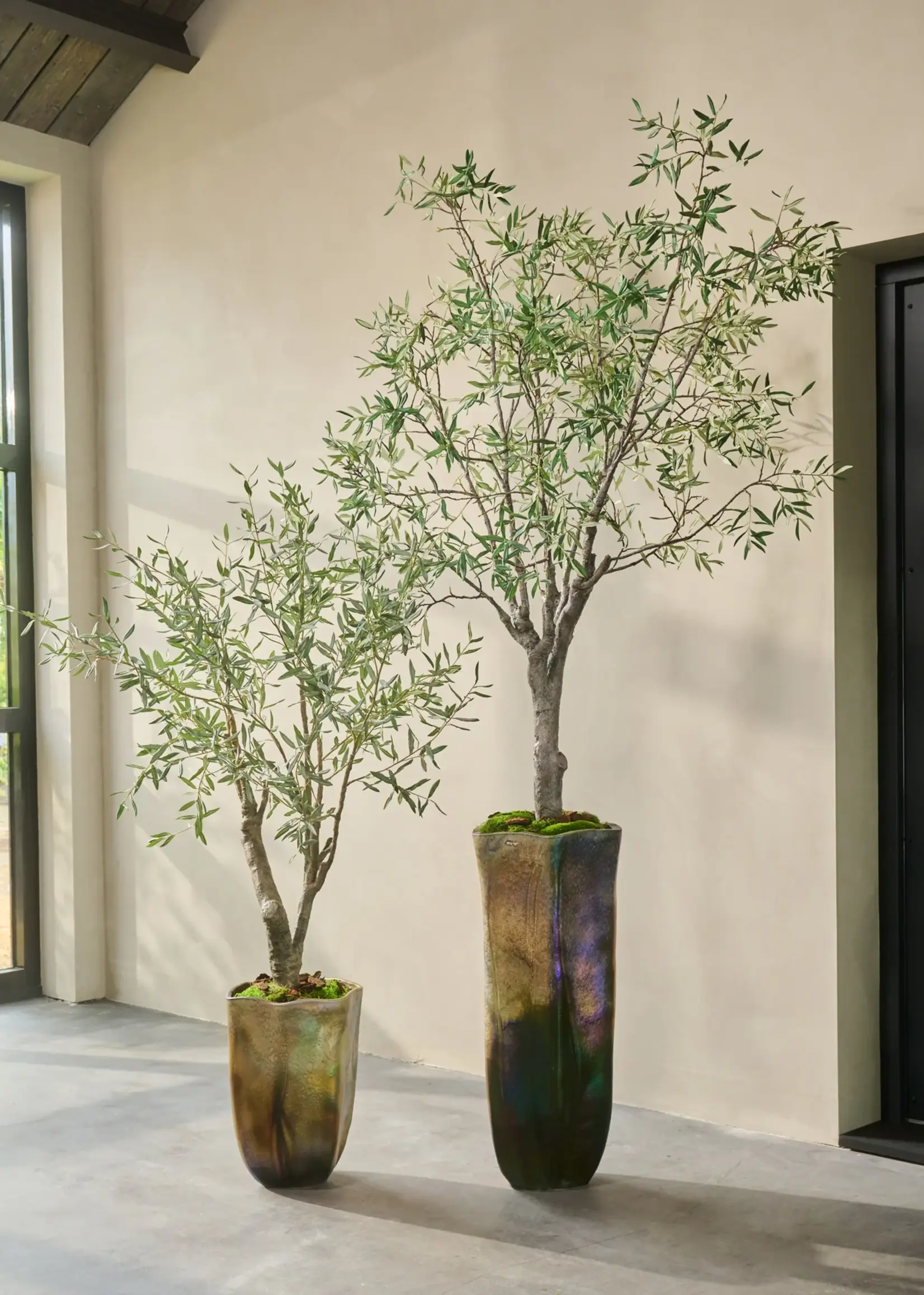 olijfboom  groen 198 cm