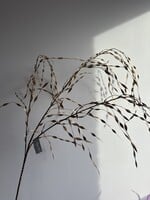 Grastak Goudkleur  119 cm